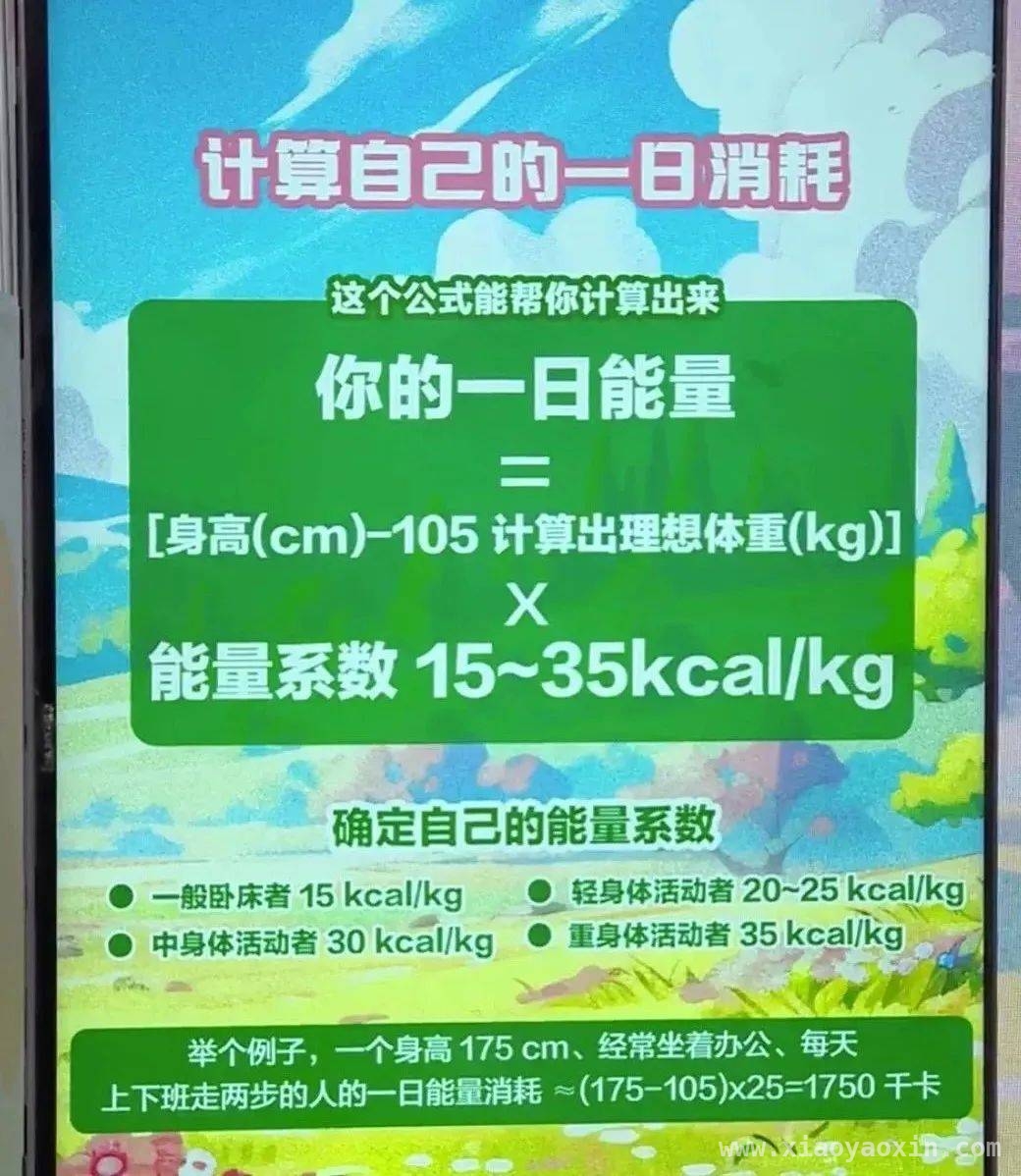 科学减肥指南：从晚餐到运动、睡眠的全方位解析