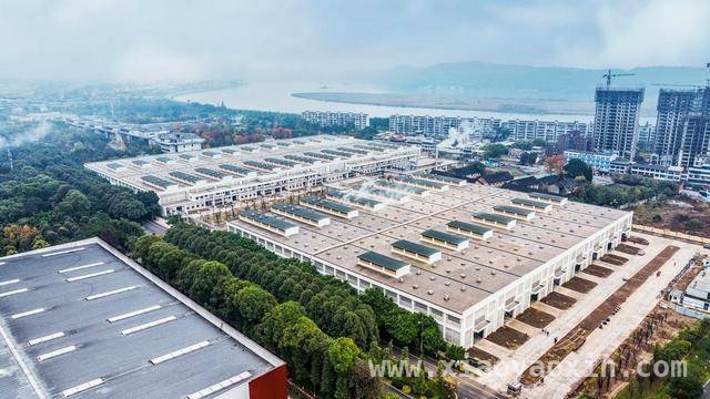 2024年舍得酒业：调整步伐，迈向新征程 2024舍得酒业：控量提质，2025焕新出发