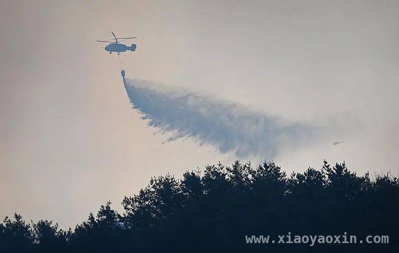 庆尚道山林火灾致人员伤亡，韩国多举措应对 韩国庆尚等地山林大火频发，国家提升危机警报