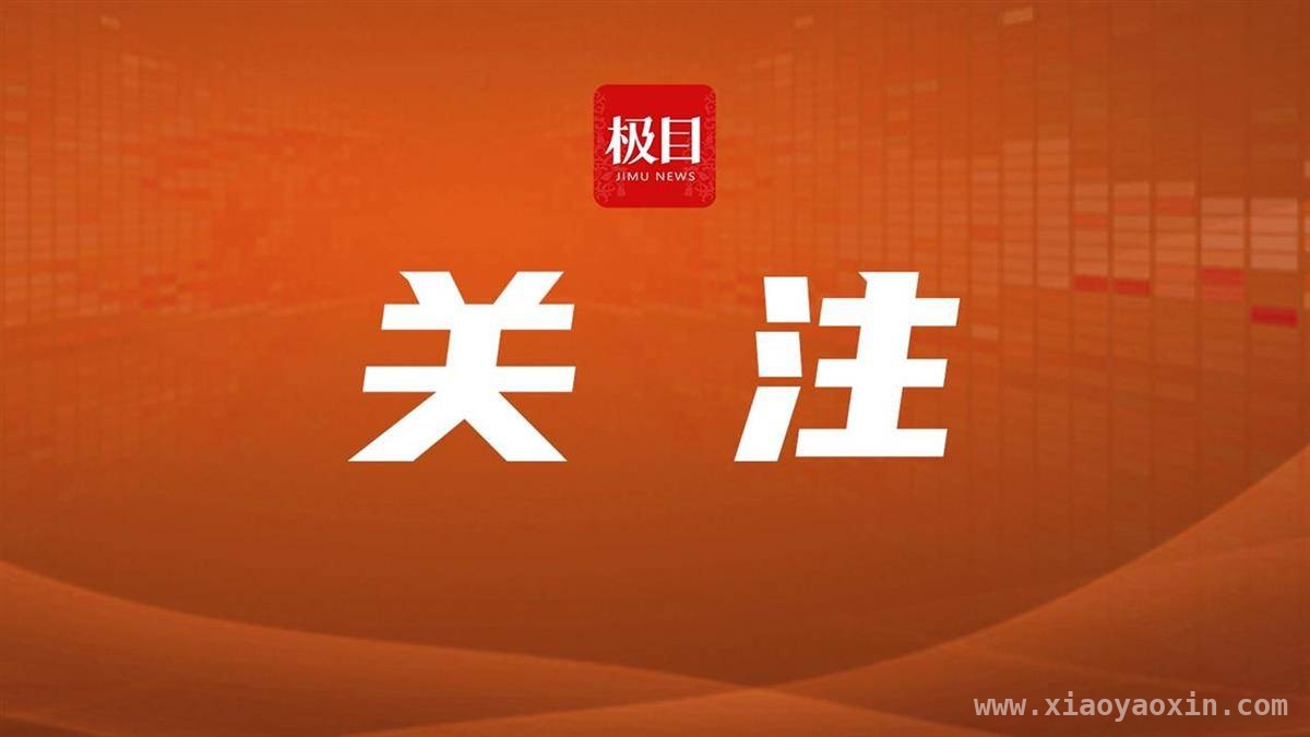 网购“星期狗”死亡，消费者维权获法院支持