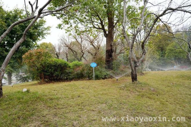 3·22世界水日：重庆璧山再生水开启节水新篇章