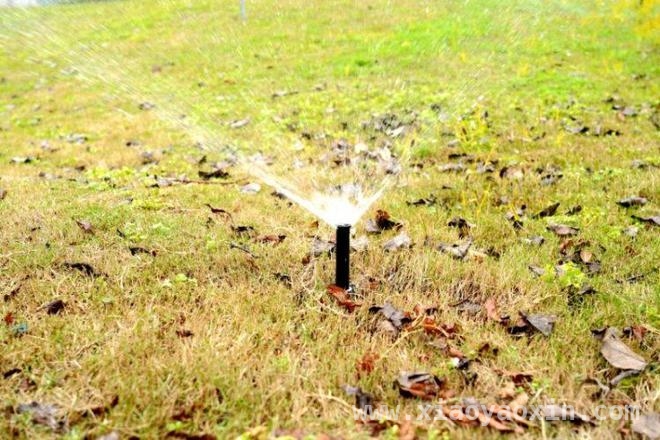 3·22世界水日：重庆璧山再生水开启节水新篇章