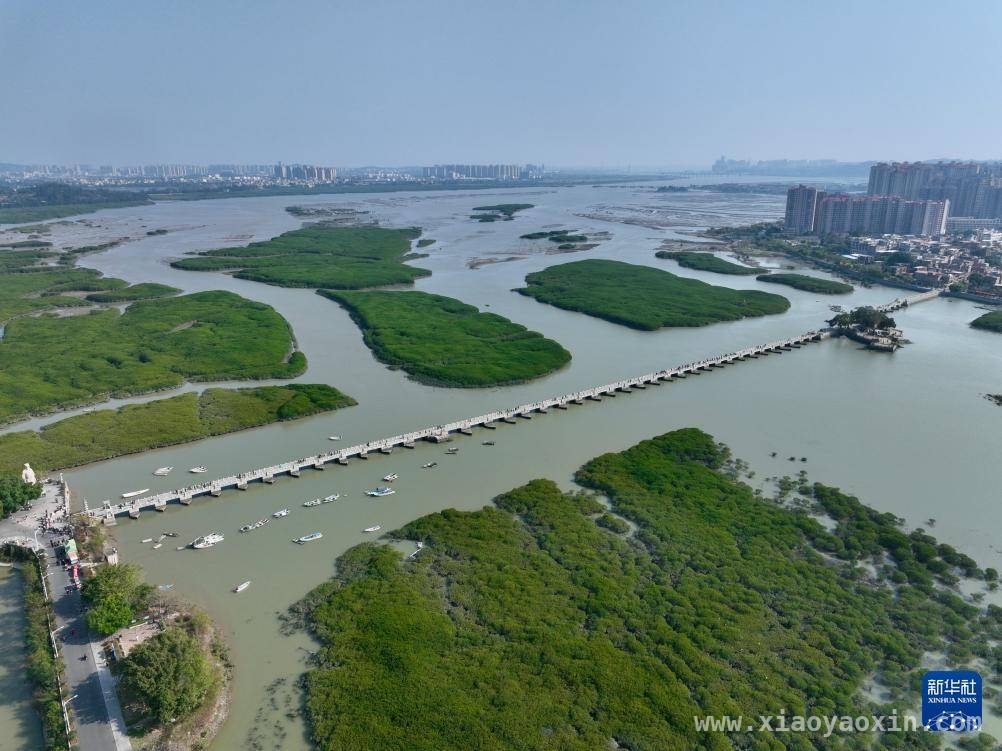 探秘泉州洛阳桥：历史与自然的和谐共生，泉州洛阳桥：古韵与生态的完美融合