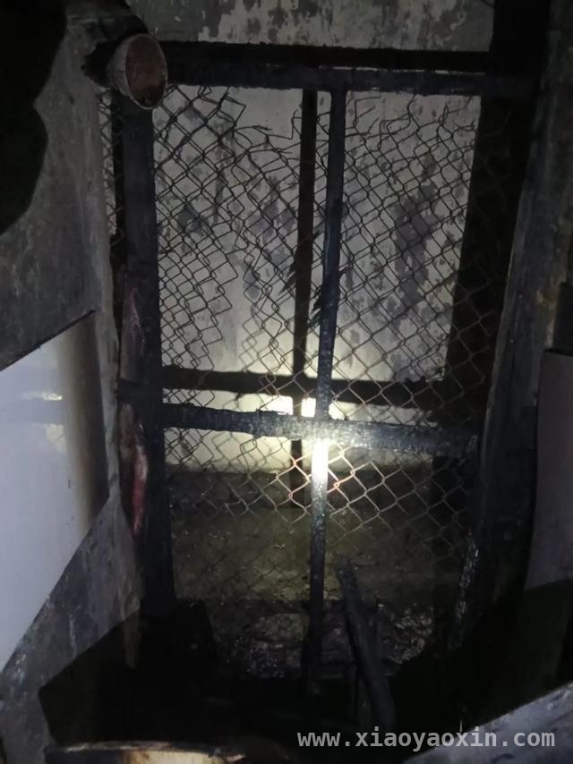 破解社区难题，东村居委会书写基层治理精彩答卷，东村居委会办实事：从灭火到活动室，温暖居民生活