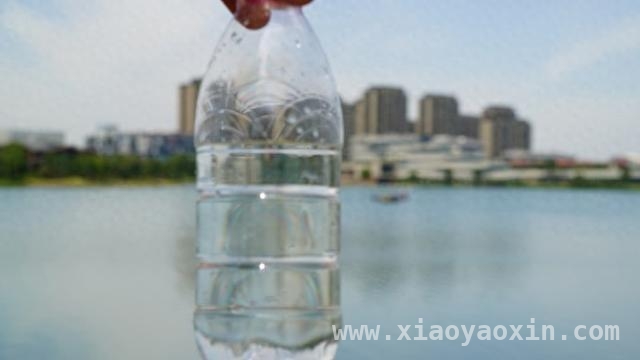 世界水日：上海科研团队以创新之钥开启水生态改善新篇