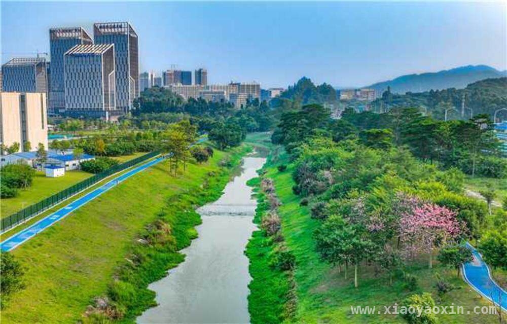 广东水日水周活动精彩，水利发展成果丰硕，广东幸福河湖建设与对港供水成就显著