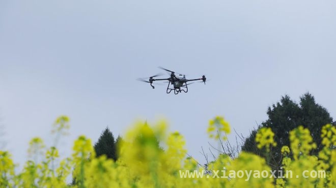 重庆酉阳：低空经济助力农业与文旅双丰收，酉阳举办无人机培训，培育现代化“文旅人”