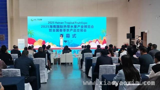 凤翔苹果亮相海南展会，开拓国际新商机 凤翔苹果借海南盛会迈向大市场