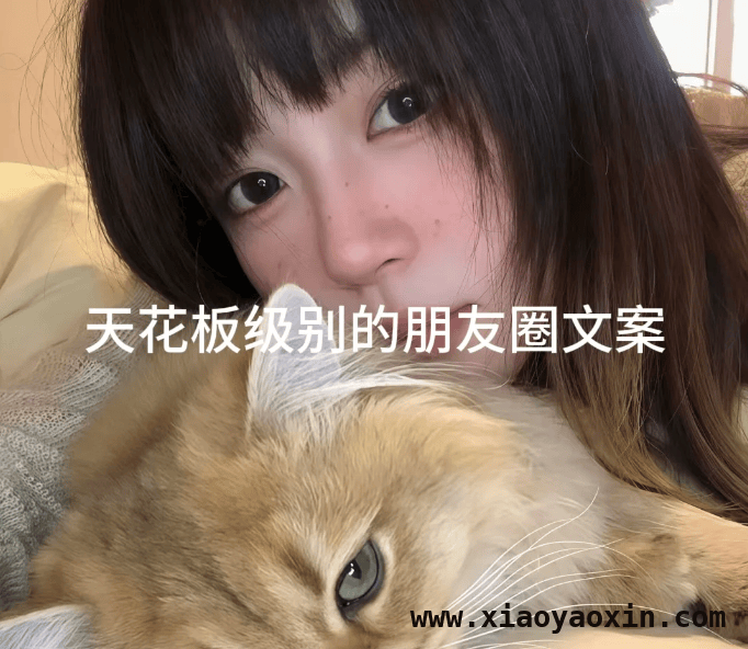 不容错过的朋友圈宝藏文案，句句戳心，精选朋友圈文案，诉说生活的酸甜苦辣