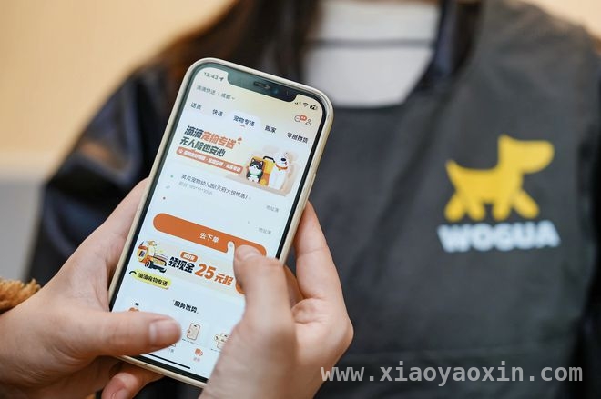 滴滴快送“宠物专送”：让宠物出行更安心
