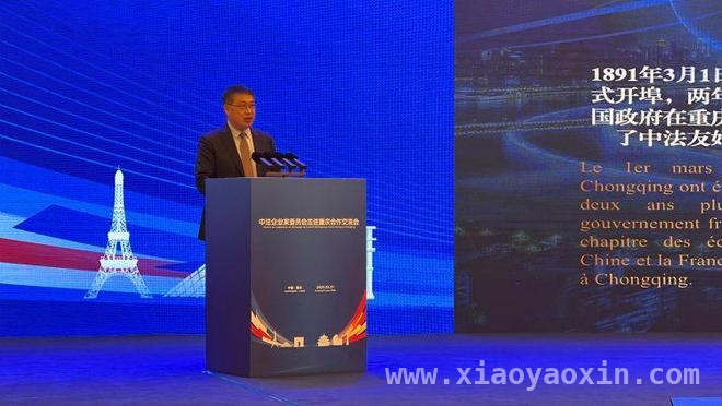 重庆牵手法国：经贸合作注入新活力，中法企业家委员会重庆交流会：开启合作新篇章