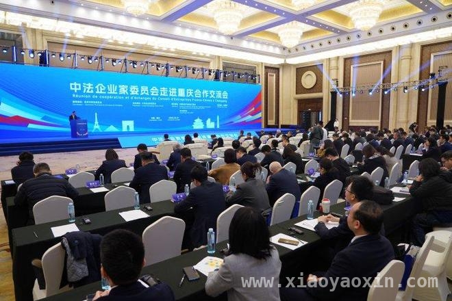 重庆牵手法国：经贸合作注入新活力，中法企业家委员会重庆交流会：开启合作新篇章