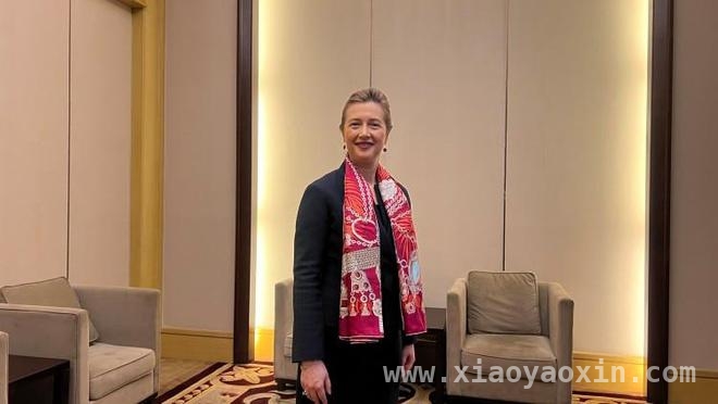 重庆牵手法国：经贸合作注入新活力，中法企业家委员会重庆交流会：开启合作新篇章