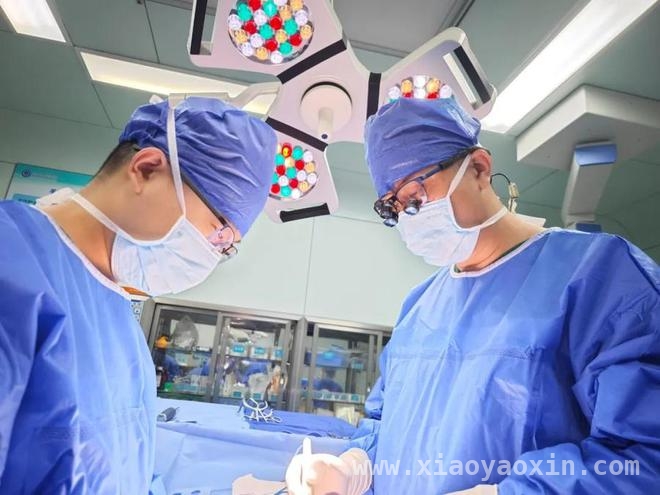 重度胸椎脱位患者在滨医附院多学科合力下重获新生
