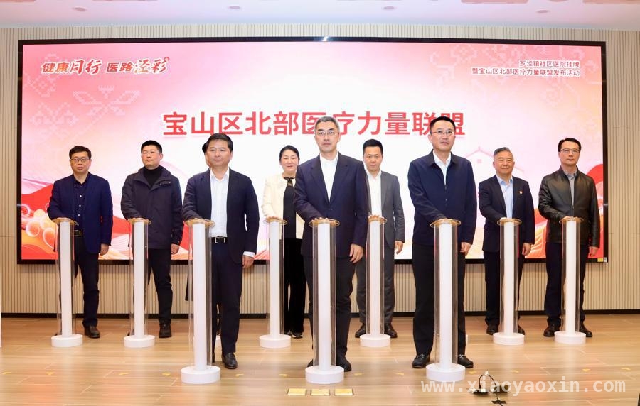 罗泾镇社区医院挂牌，宝山北部医疗力量大升级，党建引领，罗泾镇社区医院为宝山北部民生添彩