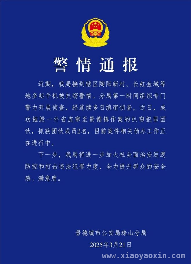 景德镇旅游遇扒窃风波，警方破案提升群众安全感 江西景德镇：外省流窜扒窃团伙落网，守护游客安全