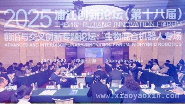 从论坛看上海：超前培育未来产业的新探索，上海前沿论坛：多学科碰撞，孵化未来产业新希望