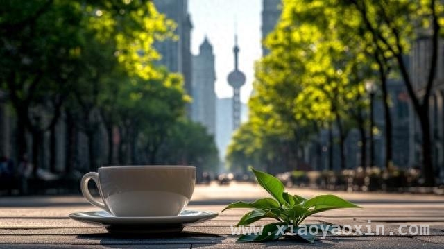 上海：用多元维度打造人人共享的城市公共空间，上海城市公共空间建设：人民、文化与共治的精彩融合