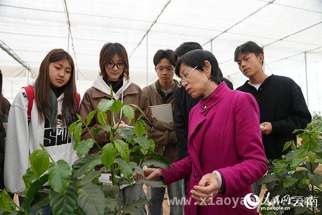 走进咖啡课堂：“00后”与咖啡的浪漫邂逅