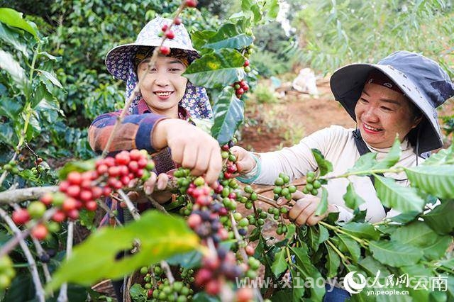 走进咖啡课堂：“00后”与咖啡的浪漫邂逅