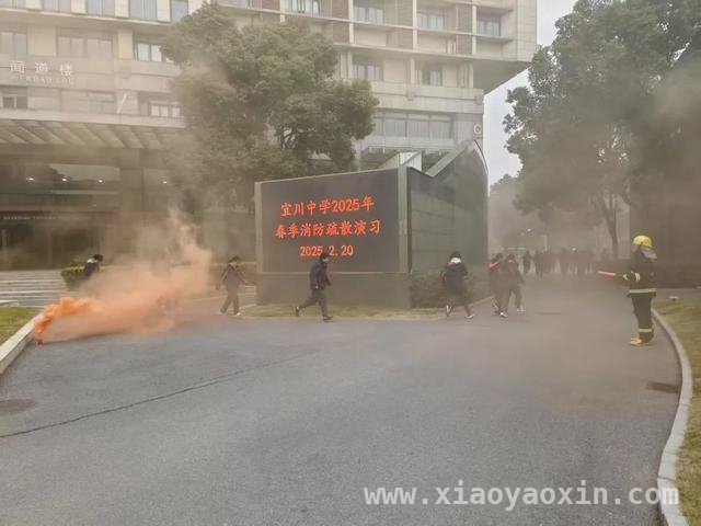 “护校安园”在普陀：为孩子们筑牢全方位安全防线，普陀区“护校安园”行动：让校园周边安全又温馨