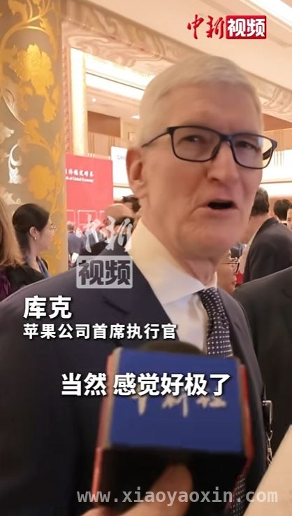 库克访华热议：为中国AI新秀点赞，还听了杨天真建议！ 库克中国之行亮点多：夸DeepSeek，回应杨天真建议！