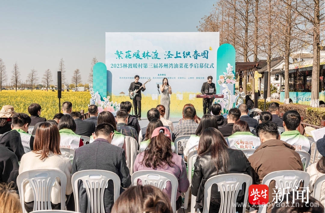 2025苏州湾油菜花季启幕，林渡暖村盛景等你！