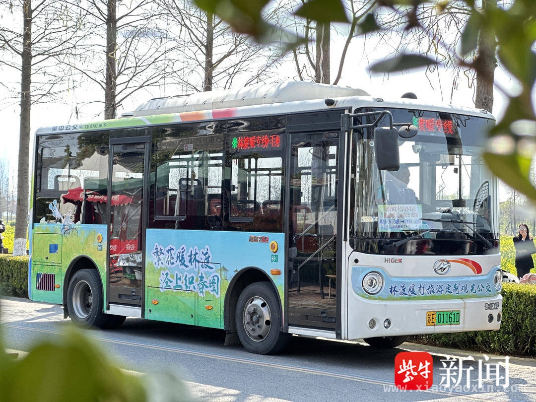 2025苏州湾油菜花季启幕，林渡暖村盛景等你！