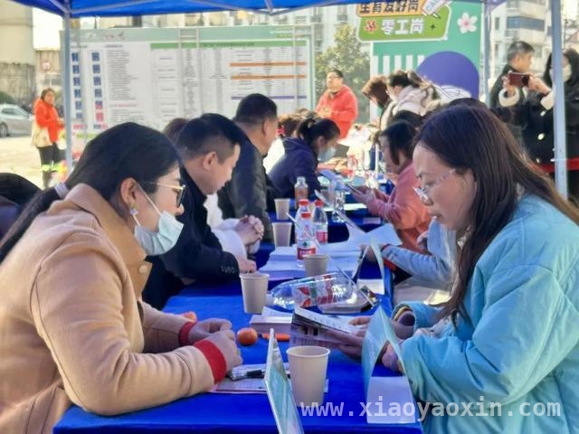 虹口招聘会：高薪岗与特殊友好岗共筑就业梦
