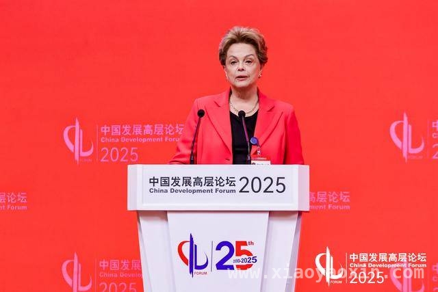 新开发银行行长盛赞中国科技崛起之路，中国科技飞跃：罗塞芙在论坛揭示背后奥秘