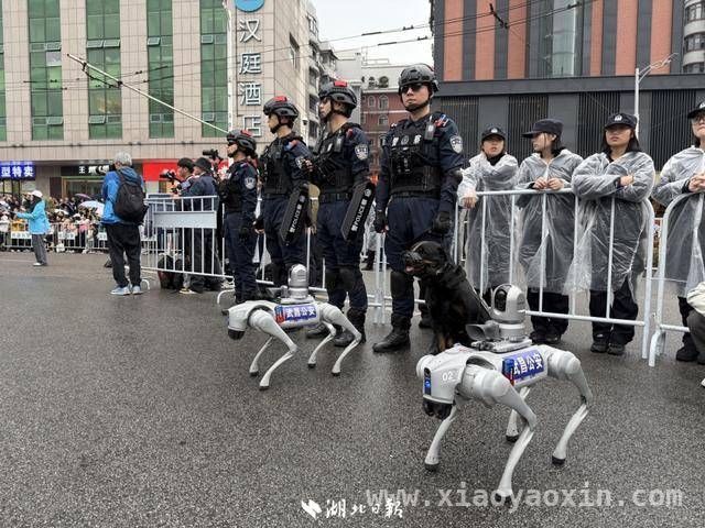 中国银行·2025武汉马拉松，各路冠军花落谁家？ 2025汉马冠军诞生，跑者热情点燃武汉城