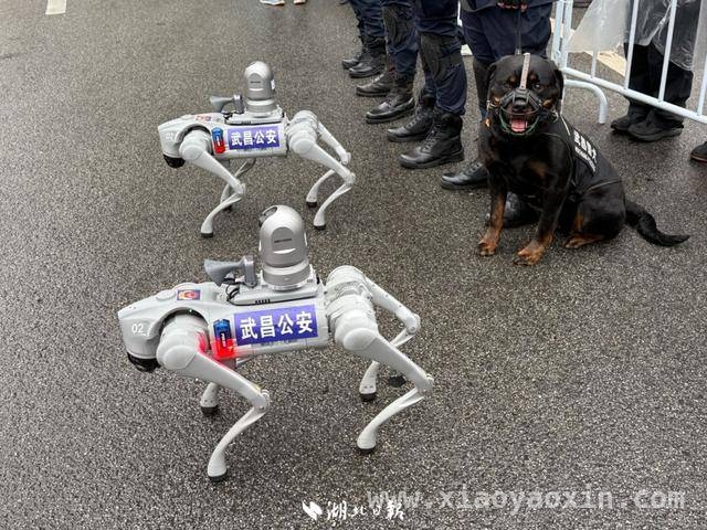 中国银行·2025武汉马拉松，各路冠军花落谁家？ 2025汉马冠军诞生，跑者热情点燃武汉城