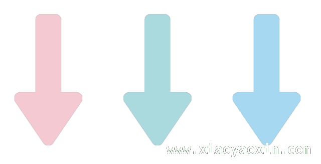探寻校园里的萌宠趣事