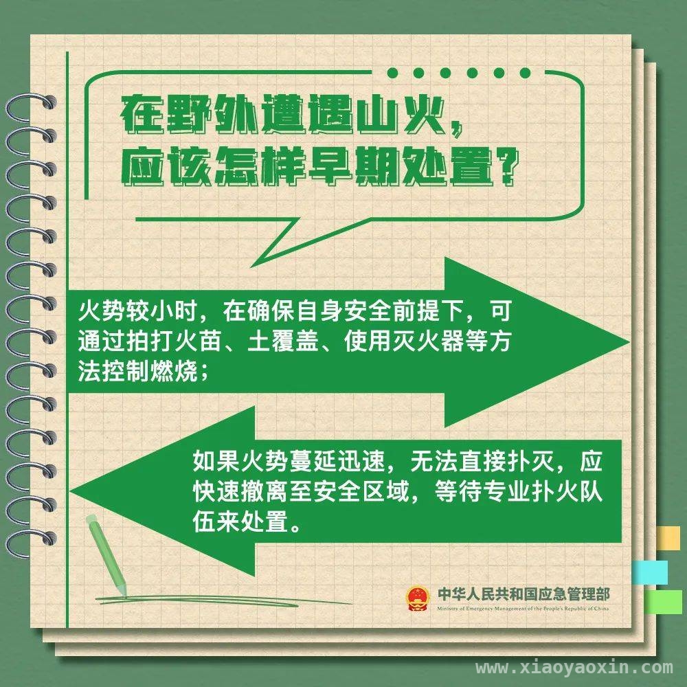 春季多地山火突发，掌握森林防火知识迫在眉睫，春季森林火险高，多地山火案例警示你我