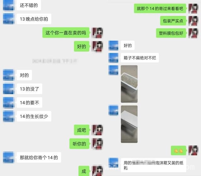 贪图“宝贝”，杭州女子买卖鹦鹉螺壳惹祸上身！