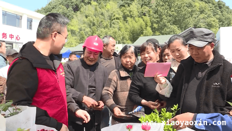 汛桥镇光明村春季文化赶市：文明与惠民的精彩碰撞，文化赶市走进汛桥镇光明村，激活乡村治理新动能