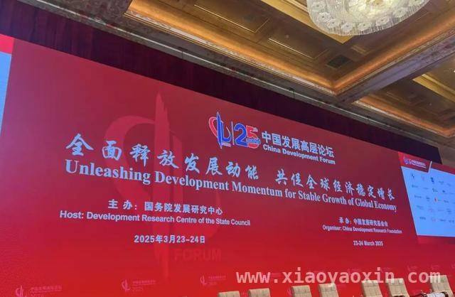 中国发展高层论坛2025年会：消费升级新举措来袭，聚焦中国发展高层论坛2025：多举措扩大消费，提升生活品质