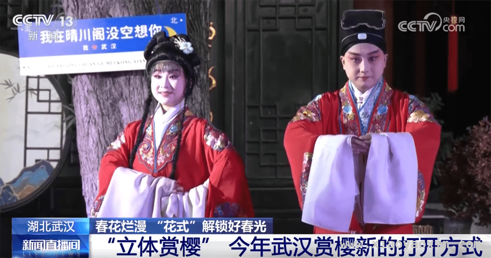 浪漫春日，湖北山东广西以花为媒开启增收新模式，从樱花到李花，各地“赏花经济”助力乡村振兴新征程