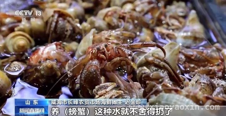 从传统农贸到潮流魔方商圈，威海长峰市场惊艳蜕变 山东威海长峰农贸市场变身魔方商圈，年轻人打卡新去处