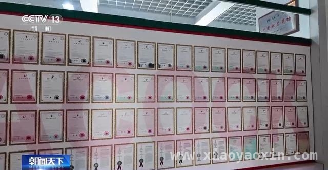 民营经济崛起：多举措助力企业腾飞