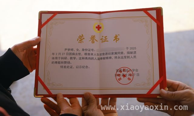 12岁女孩离世，父母大爱之举让生命在医学研究中延续，幼小生命消逝，无私捐献让爱与希望在医学中永恒