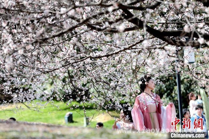 古韵长安：汉服与古建碰撞出的文化火花，交领右衽，让西安古建地标“活”起来