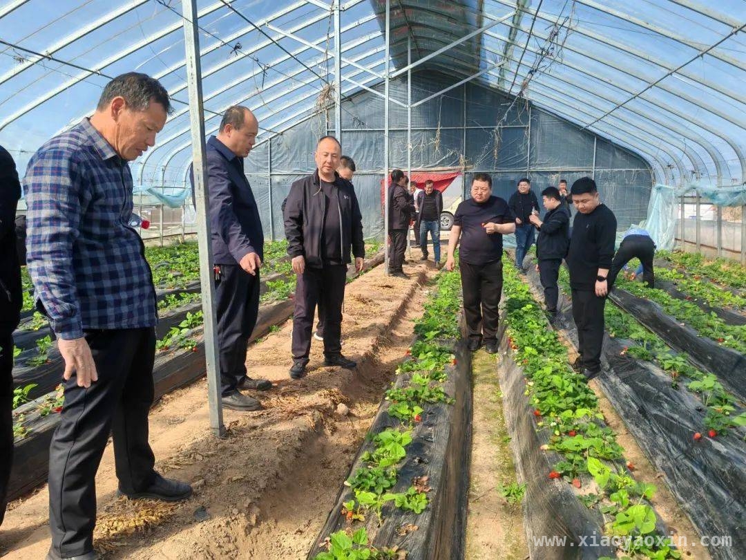 纸房乡党建引领乡村振兴观摩活动，开拓发展新思路，3月20日清丰县纸房乡观摩学习，推动乡村高质量发展
