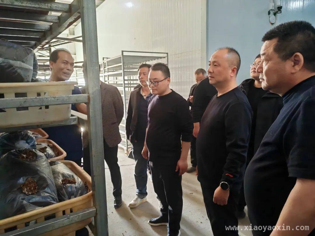 纸房乡党建引领乡村振兴观摩活动，开拓发展新思路，3月20日清丰县纸房乡观摩学习，推动乡村高质量发展