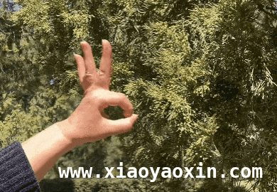 北京将种不产花粉柏树，缓解花粉过敏难题，今年北京花粉为何尤其多？答案在这里