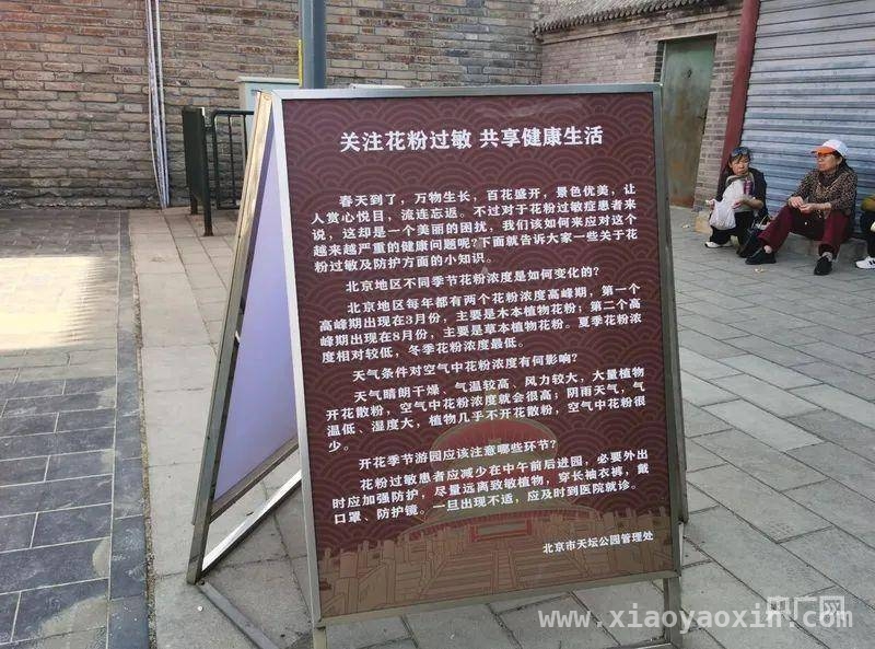 北京将种不产花粉柏树，缓解花粉过敏难题，今年北京花粉为何尤其多？答案在这里