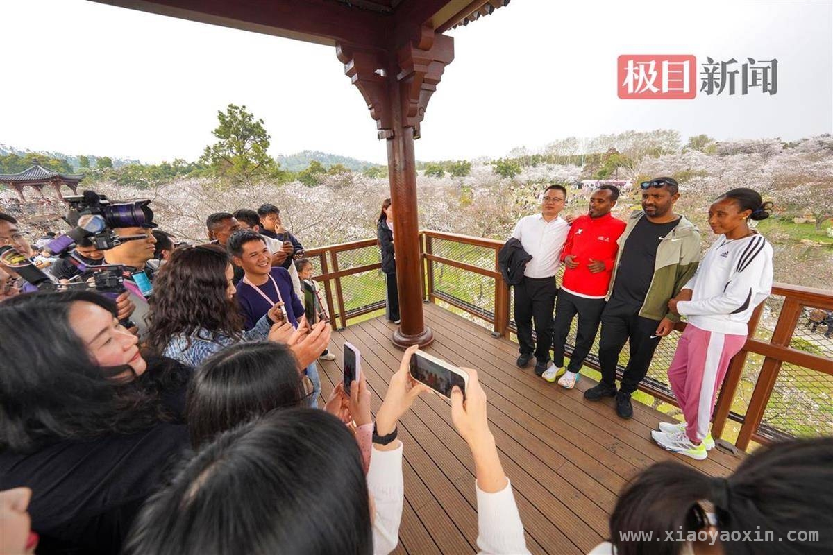 汉马冠军漫步东湖，在樱花中留下美好印记，汉马冠军感受东湖赛道，与樱花共赴诗意之约