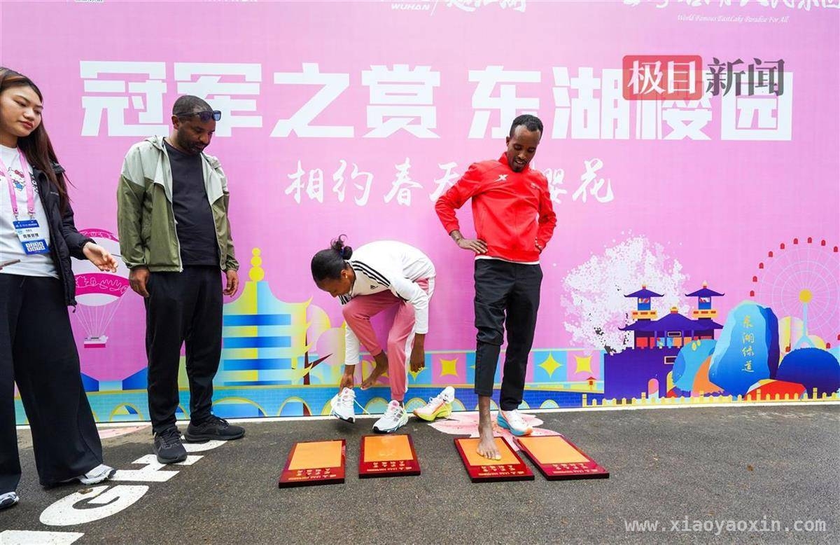 汉马冠军漫步东湖，在樱花中留下美好印记，汉马冠军感受东湖赛道，与樱花共赴诗意之约
