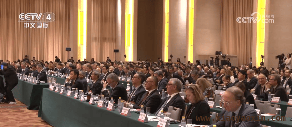 中国发展高层论坛2025：企业看好中国机遇，投资创新热潮涌动，2025中国发展高层论坛：企业瞄准中国机遇，投资创新双轮驱动