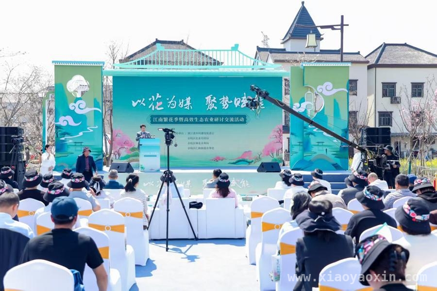 仁和街道：以花为媒，开启乡村共富新时代，杭州余杭仁和街道：繁花盛景下的乡村共富新征程
